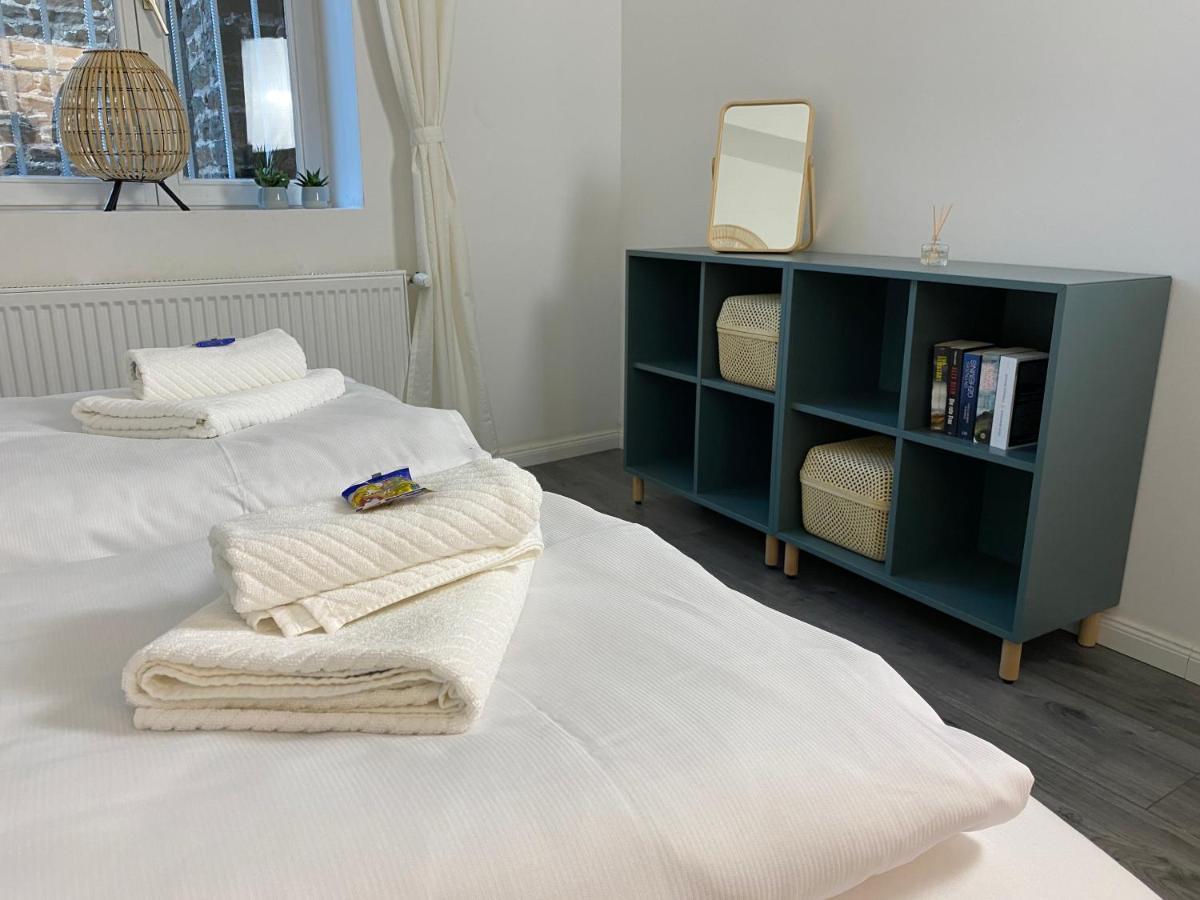 Direkter Moselblick 126m² Großer Altbau Und Terrasse Apartment