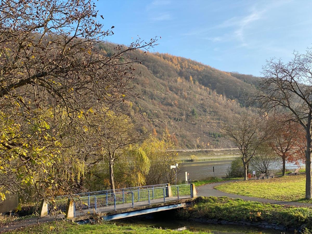 Direkter Moselblick 126m² Großer Altbau Und Terrasse *