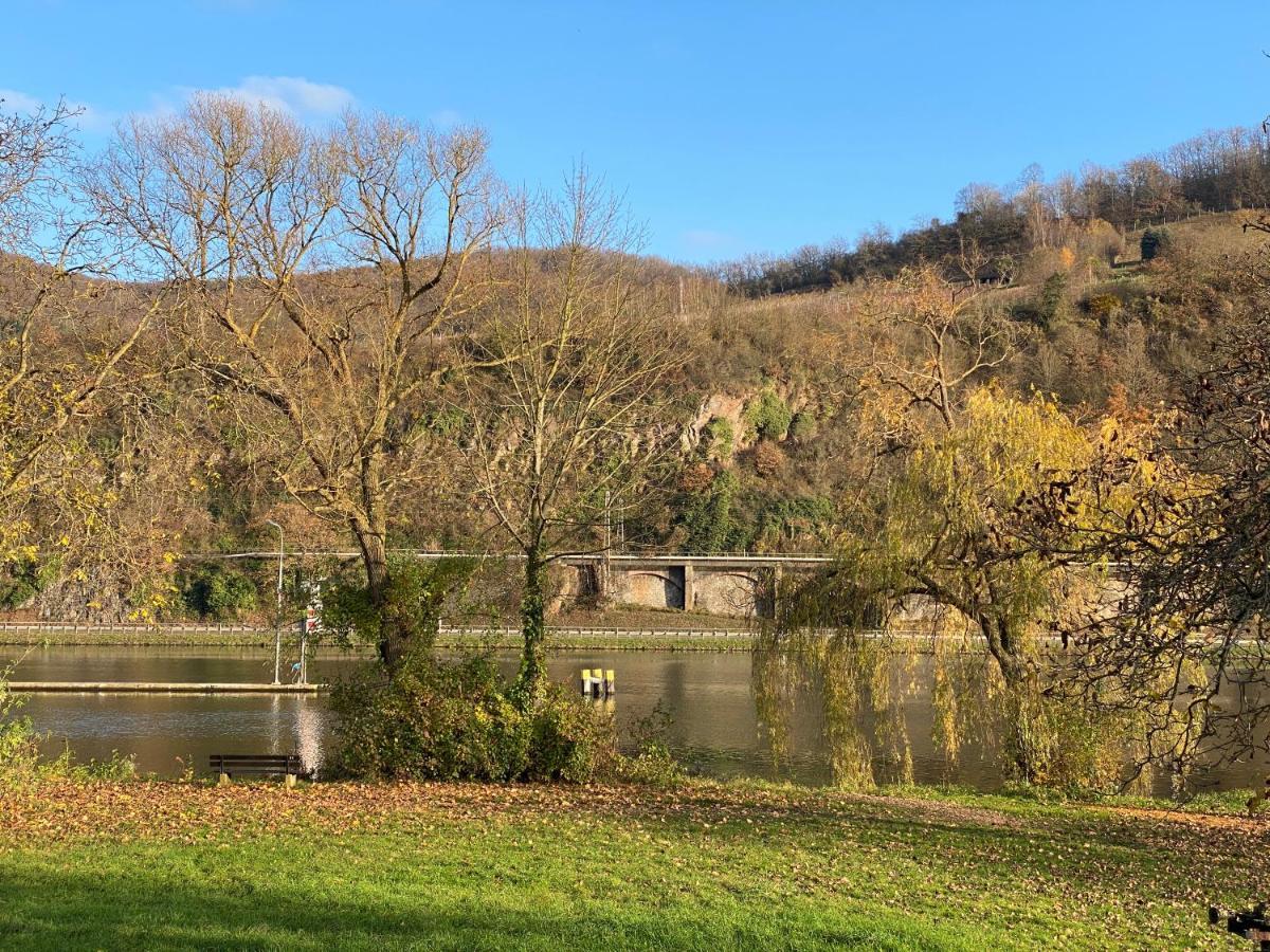 Direkter Moselblick 126m² Grosser Altbau Und Terrasse Appartamento Sankt Aldegund
